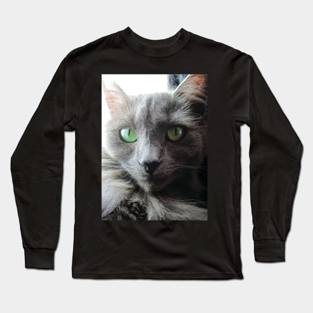 Stunning green eyed grey cat Long Sleeve T-Shirt by PandLCreations